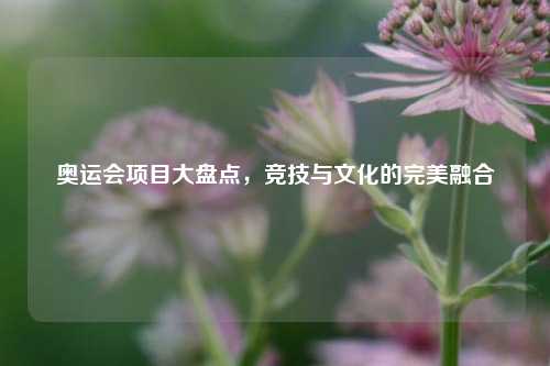 奥运会项目大盘点，竞技与文化的完美融合