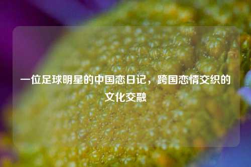 一位足球明星的中国恋日记，跨国恋情交织的文化交融