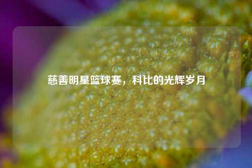 慈善明星篮球赛，科比的光辉岁月