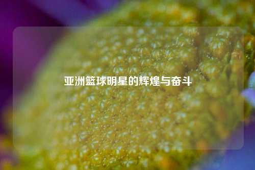 亚洲篮球明星的辉煌与奋斗