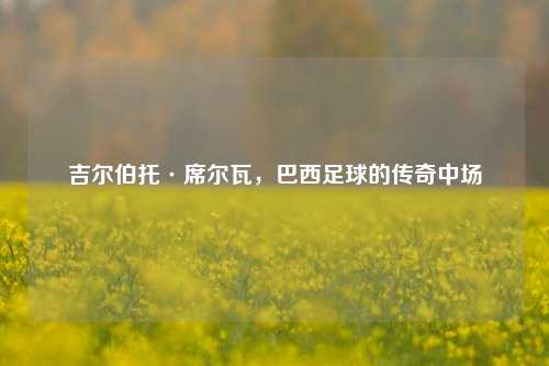 吉尔伯托·席尔瓦，巴西足球的传奇中场